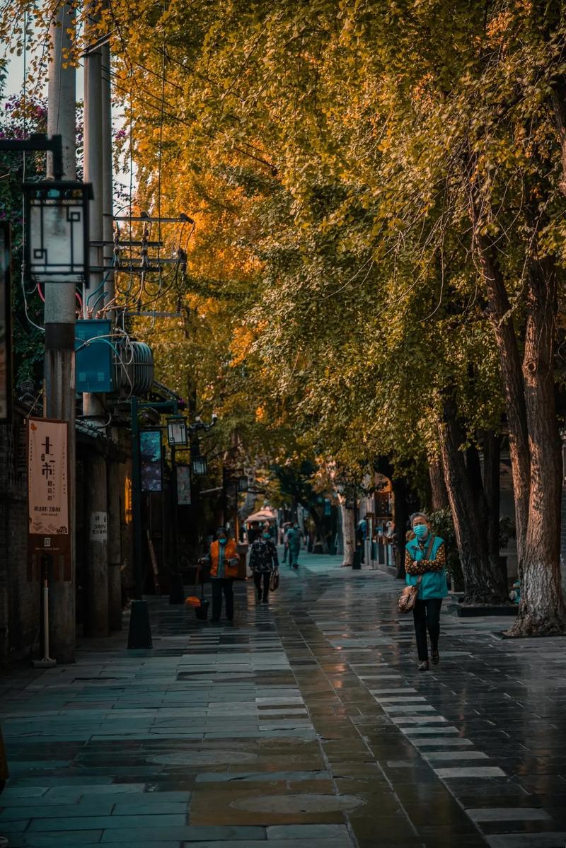 记录美好瞬间：活动跟拍的魅力
